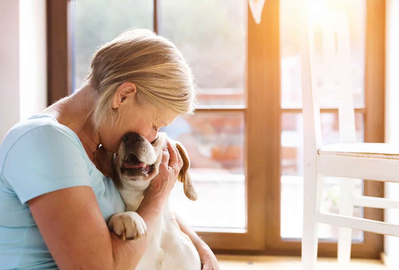 Considering Your Pets in New Jersey Estate Planning