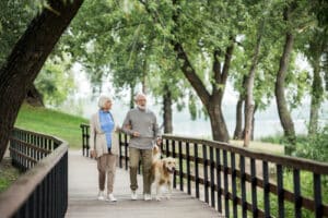 Protecting Your Pet's Tomorrow with Estate Planning in New Jersey