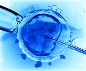 Determining Frozen Embryo Custody and Ownership in Divorce Cases in Monmouth County, NJ