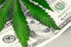 Marijuana Distribution Attorney Ocean County