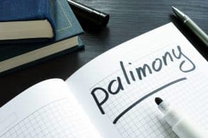 Palimony Lawyers Handling Your Financial Issues