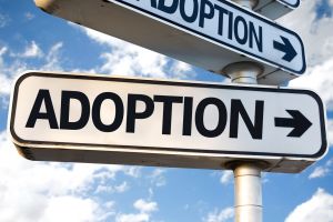 Adoption Attorney Ocean County NJ